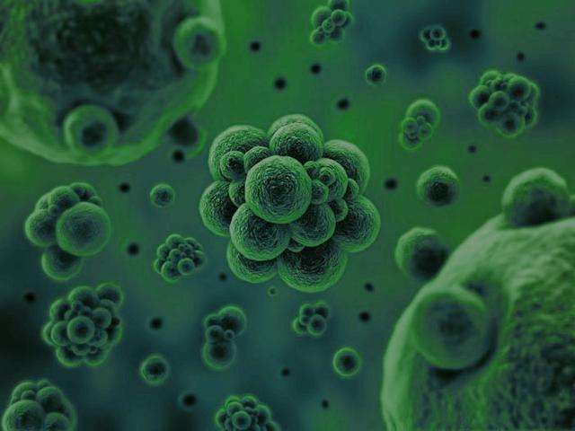 微生物是通過何種方式將廢水中的污染物分解去除掉的？