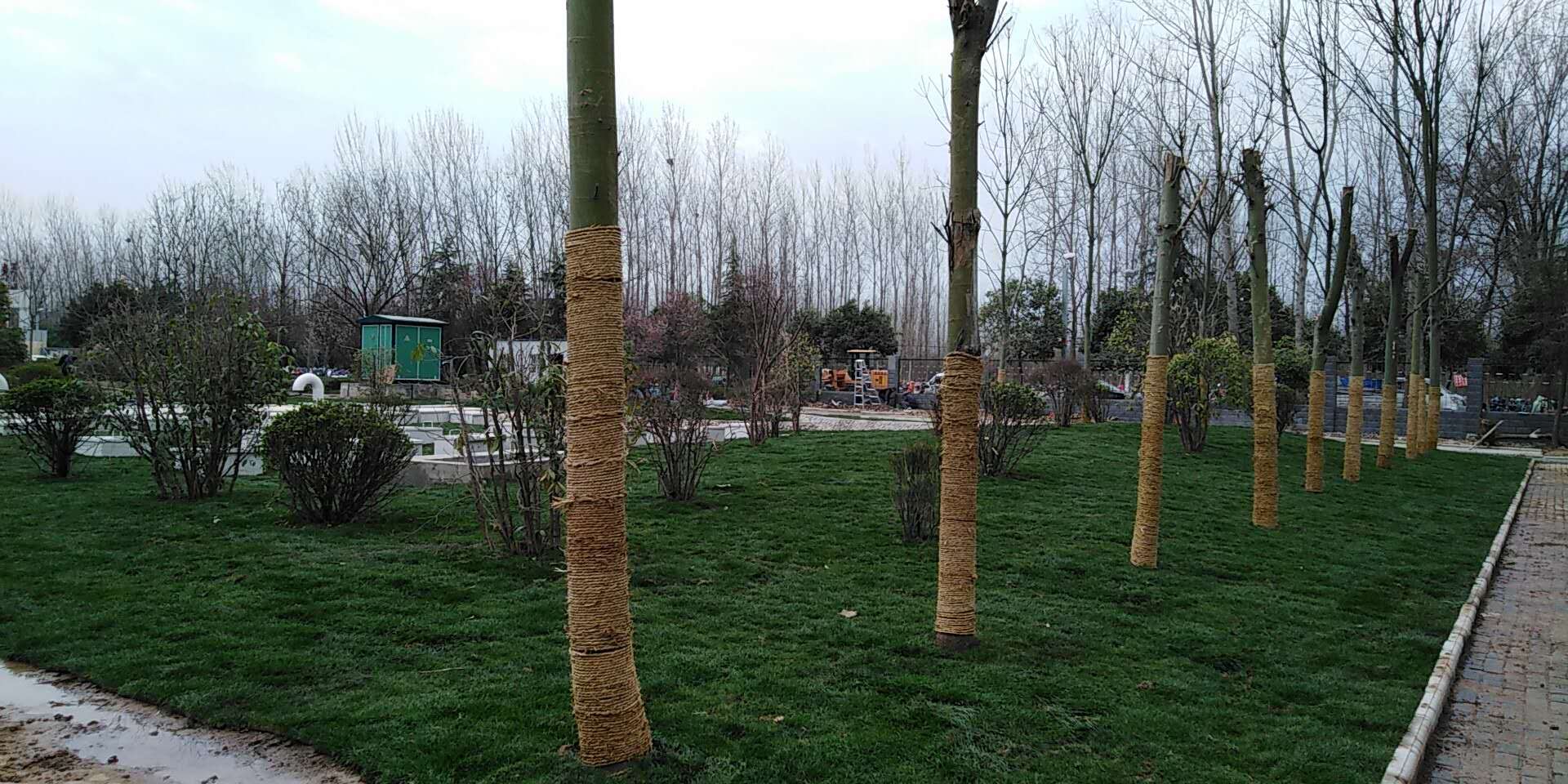 6、平輿縣一高地埋式污水處理2