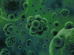 微生物是通過(guò)何種方式將廢水中的污染物分解去除掉的？